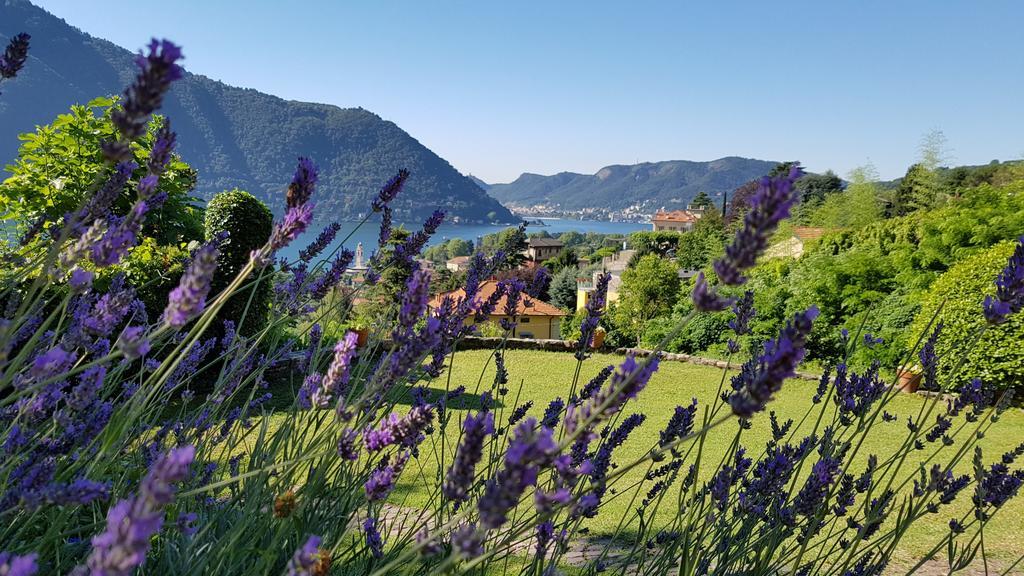 La Finestra Sul Lago Cernobbio Eksteriør bilde